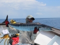 Fishing-070