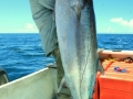 Fishing-075