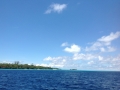 photo6