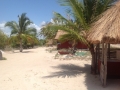 photo7