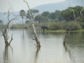 Wildlife-Safari-015